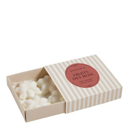 Cofanetto da 4 decori fondenti in cera profumata - Fruits des Bois