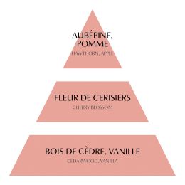 Recharge de parfum d'ambiance Les Intemporelles 200 ml - Fleur de Cerisier