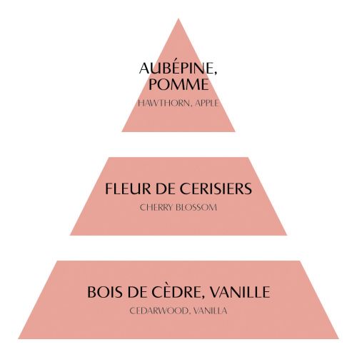 Coffret de 4 décors fondants en cire parfumée - Fleur de Cerisier