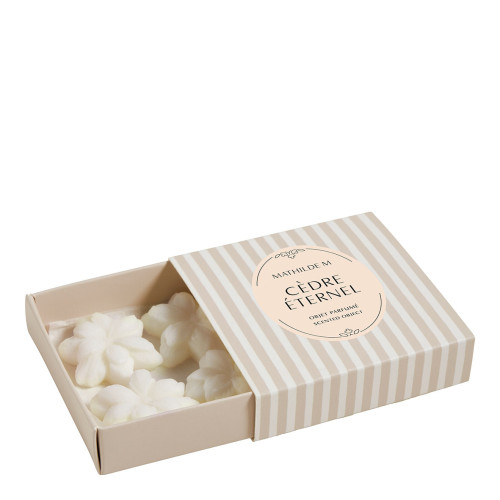 Coffret de 4 décors fondants en cire parfumée - Cèdre Éternel
