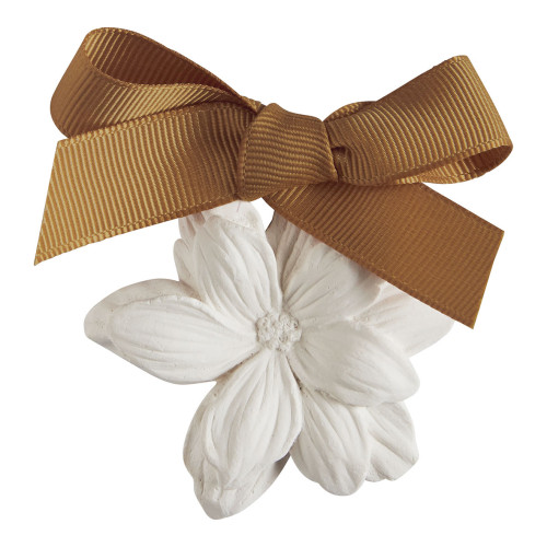 Gift Set of 5 Scented Ornaments - Cèdre Éternel