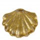 Coupelle coquillage