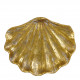 Coupelle coquillage
